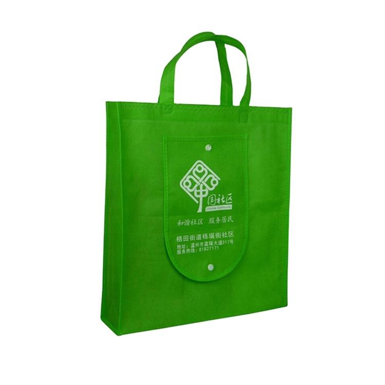 Fashion Eco Friendly PP Sponbond non woven Fabric bags CARRY BAG Wholesale