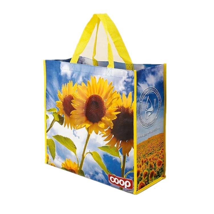 Folded Non Woven  Recyclable Reusable Eco Friendly Hand Shopping Bag